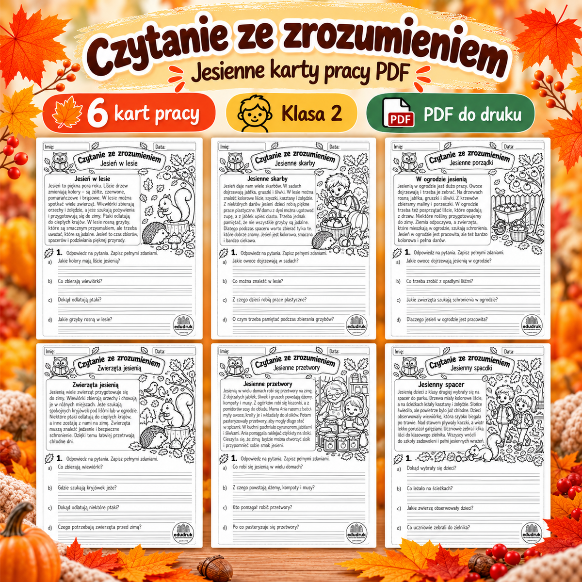 Czytanie ze zrozumieniem - 6 kart pracy PDF do druku