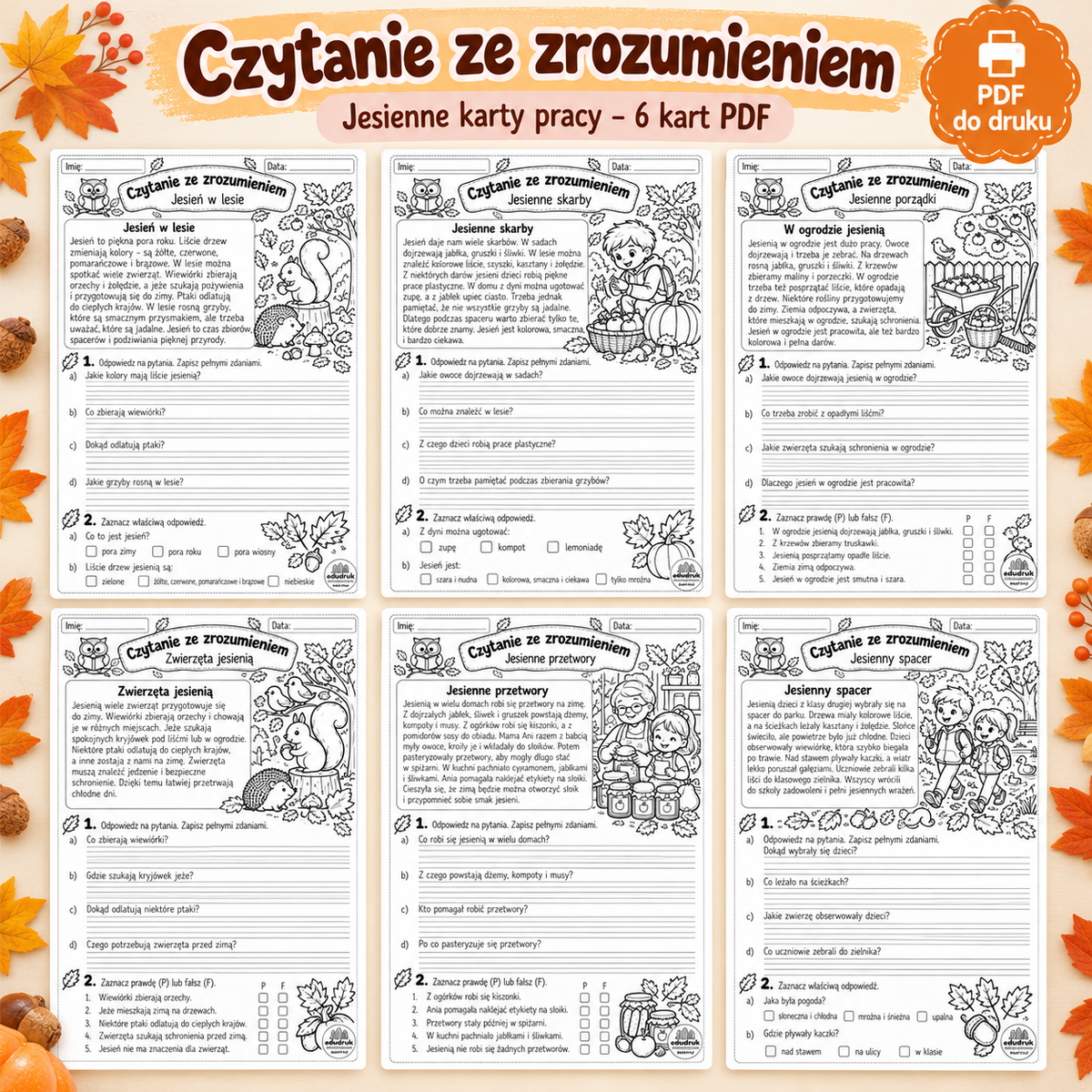 Czytanie ze zrozumieniem - 6 kart pracy PDF do druku
